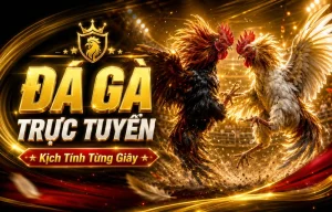 Giao diện Đá Gà number8antwerp